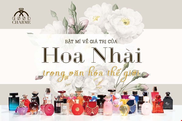 Bí mặt về giá trị của hoa Nhài trong văn hóa thế giới