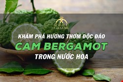 Cam Bergamot Hương Liệu Quang Trọng Trong Điều Chế Nước Hoa