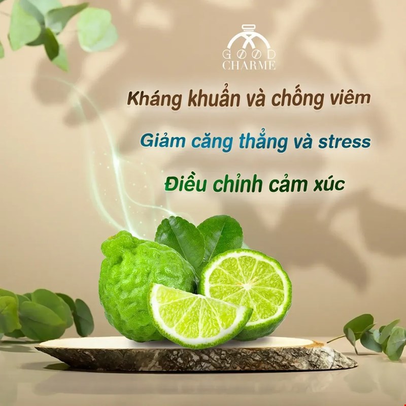 Cam Bergamot Hương Liệu Quang Trọng Trong Điều Chế Nước Hoa