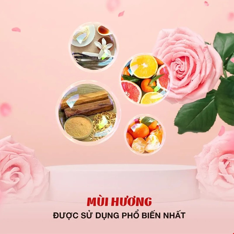 Khám Phá Những Bí Mật Chưa Bao Giờ Kể Về Nước Hoa