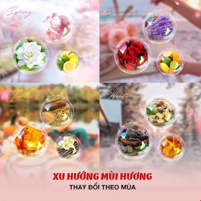 Khám Phá Những Bí Mật Chưa Bao Giờ Kể Về Nước Hoa