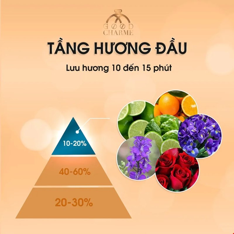 Sự Khác Biệt Giữa Các Tầng Hương Nước Hoa