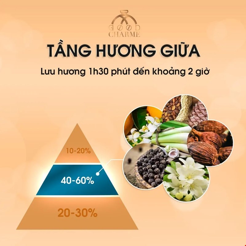 Sự Khác Biệt Giữa Các Tầng Hương Nước Hoa