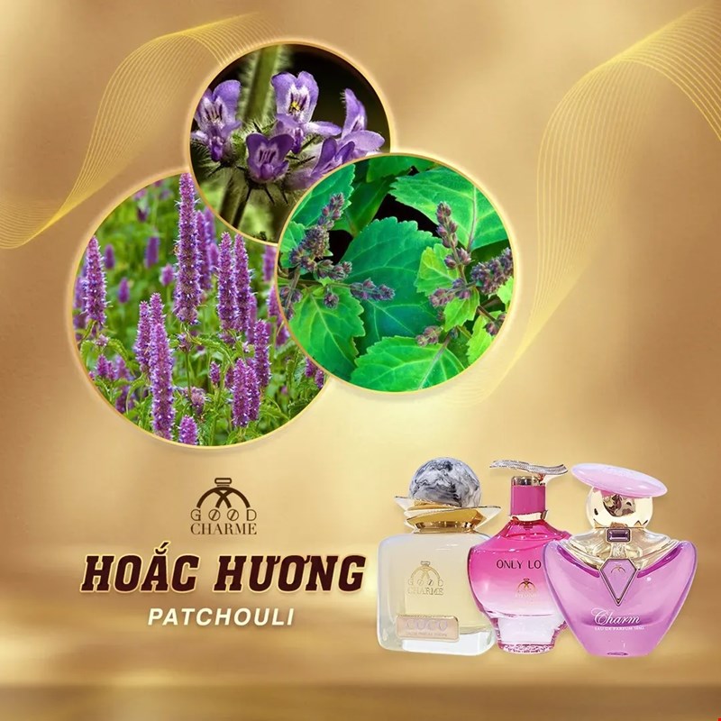 Tìm Hiểu 5 Mùi Hương Gỗ Trong Nước Hoa Good Charme