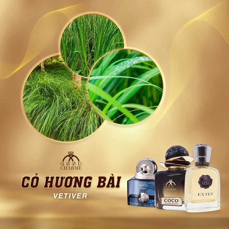 Tìm Hiểu 5 Mùi Hương Gỗ Trong Nước Hoa Good Charme