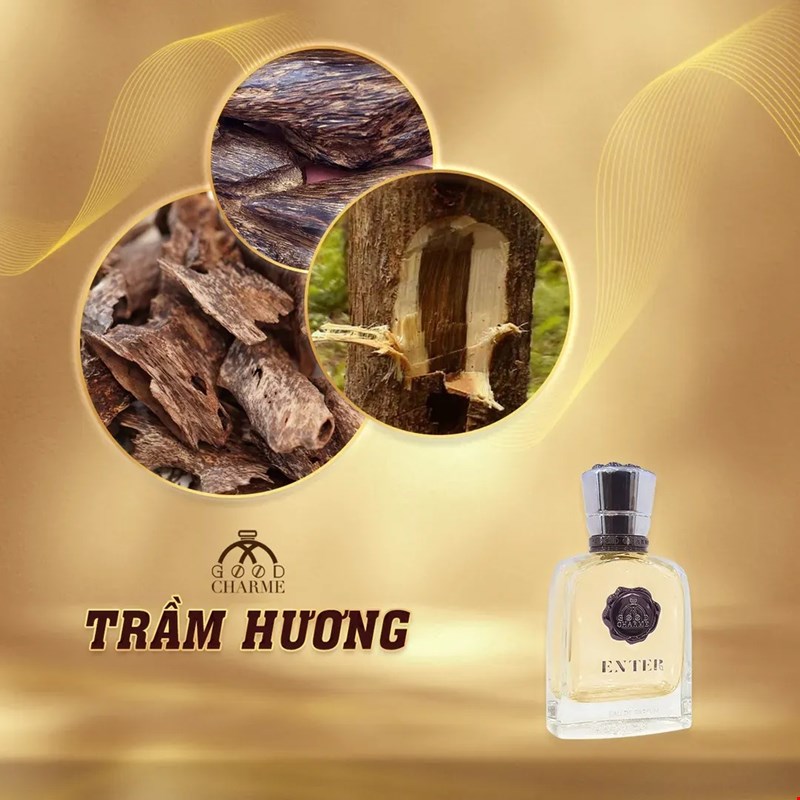 Tìm Hiểu 5 Mùi Hương Gỗ Trong Nước Hoa Good Charme